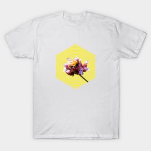 Bee - hexagon T-Shirt